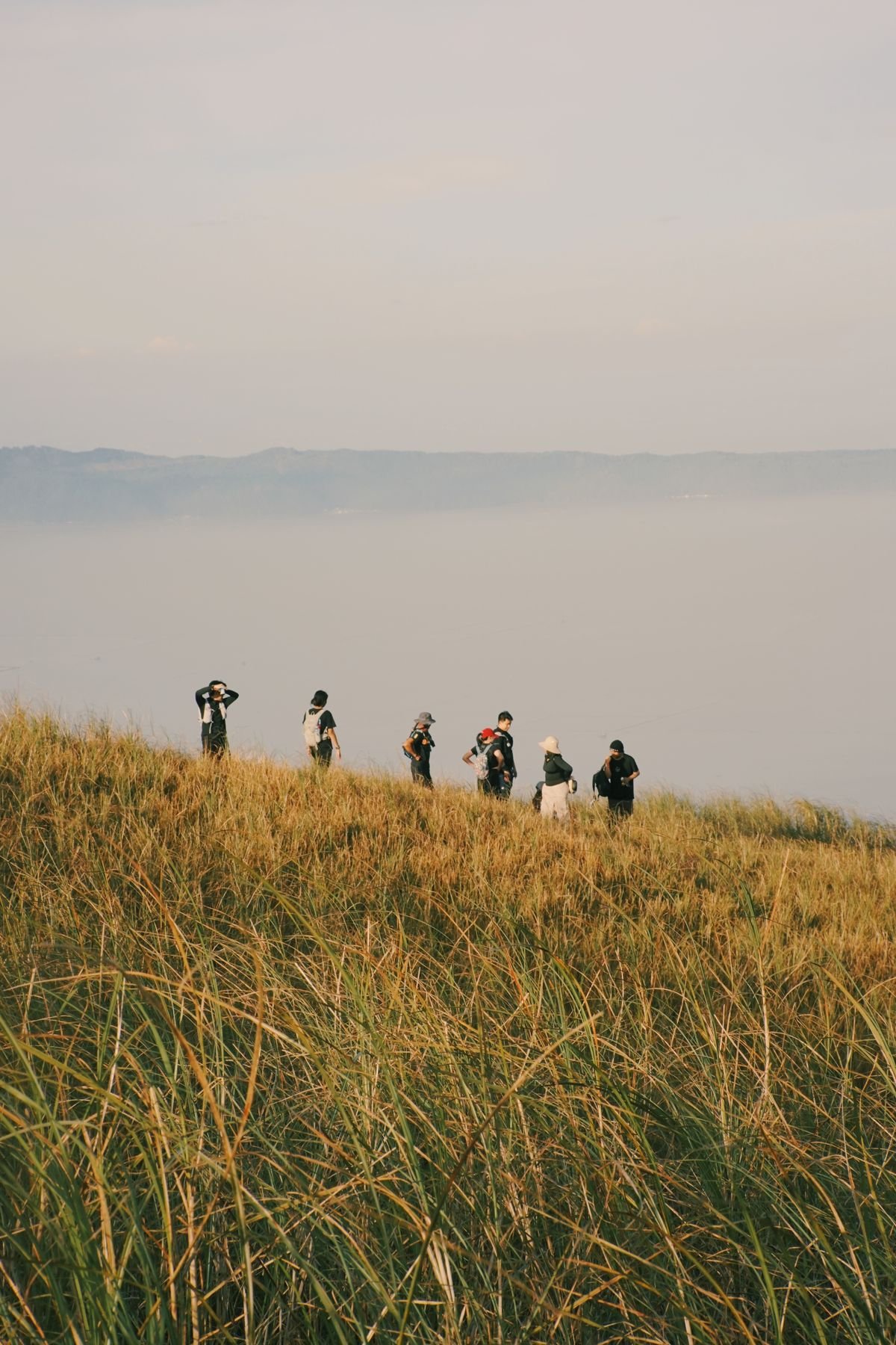 Group of friends walking together on a scenic hillside overlooking the sea
