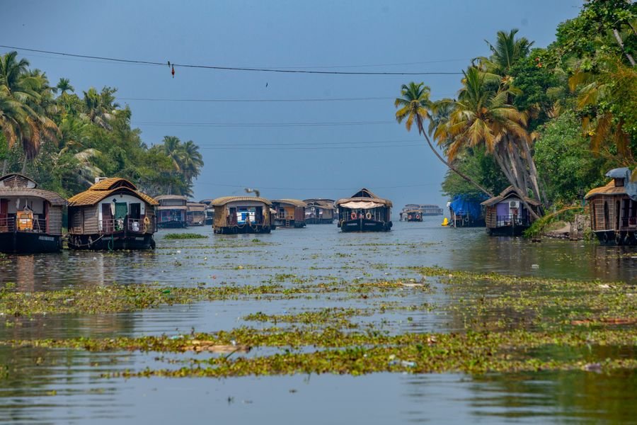 Traditional houseboats on the calm backwaters of Kerala